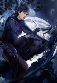 武侠风暴